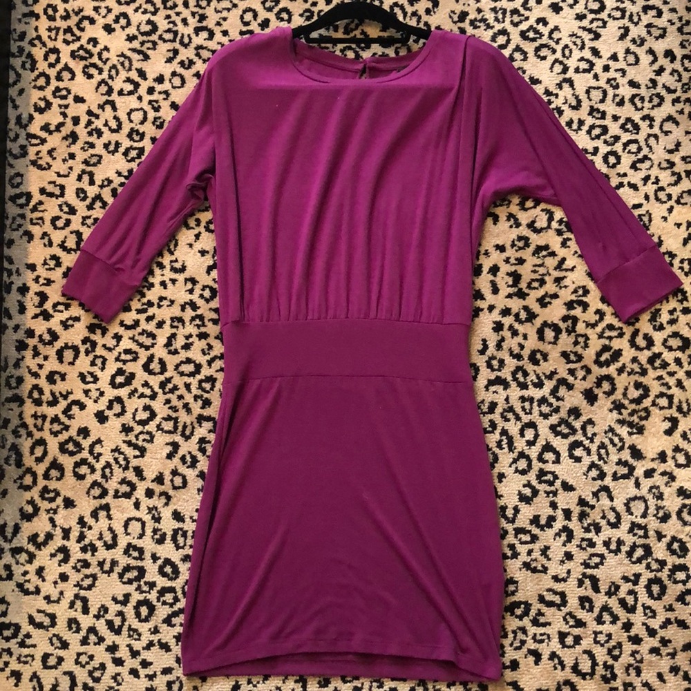 Purple Eggplant Stretch Cotton Dress